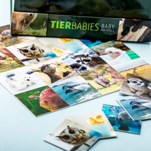 Memory - Baby Dieren