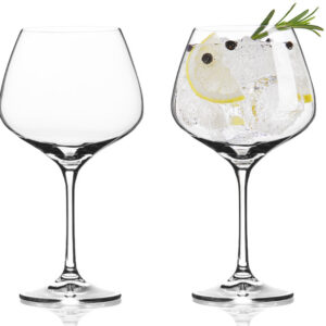 Vacuvin gin- of wijnglazen 2x Gin-tonic glas